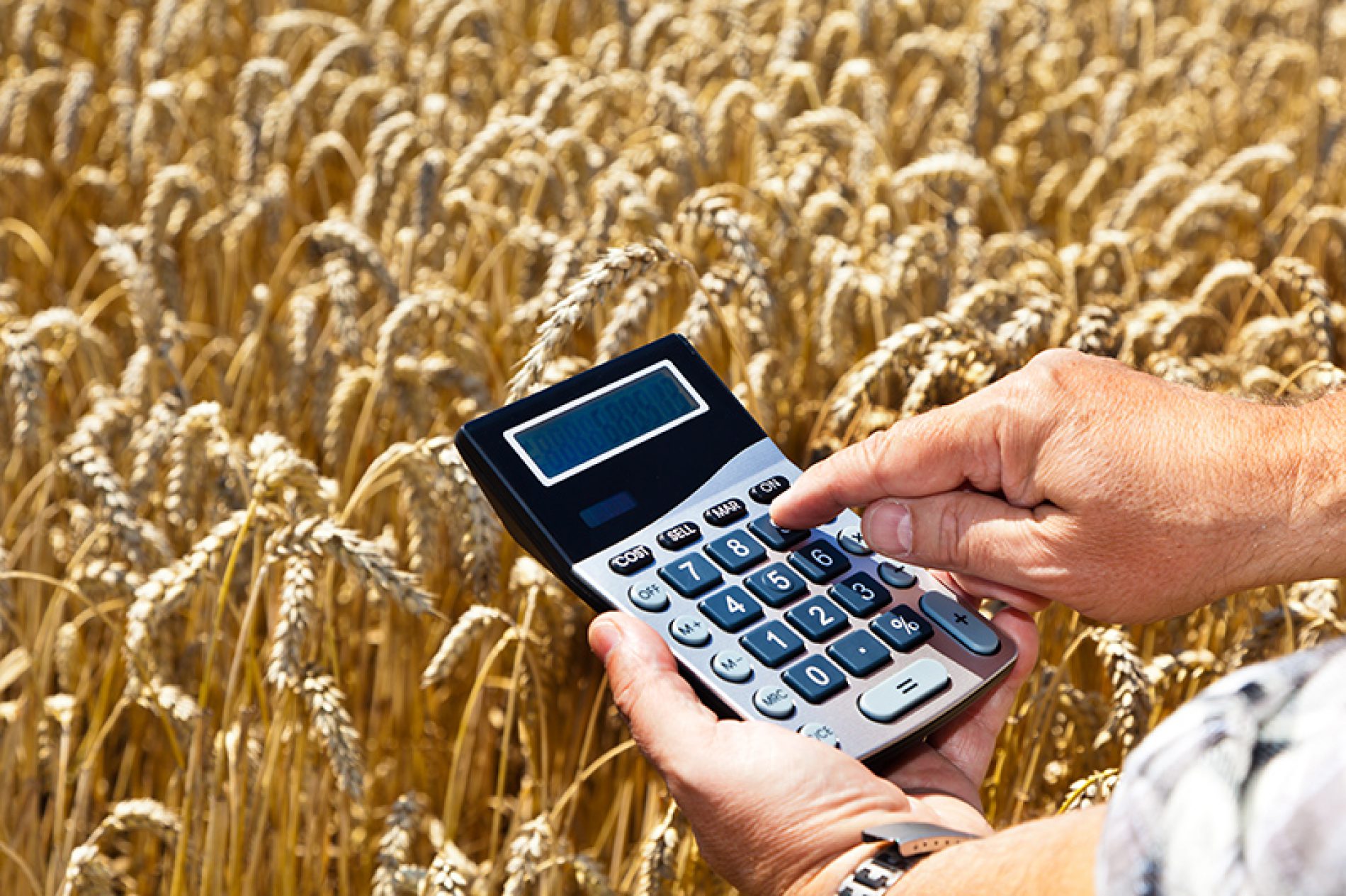 Agricoltura e digitalizzazione: un binomio vincente