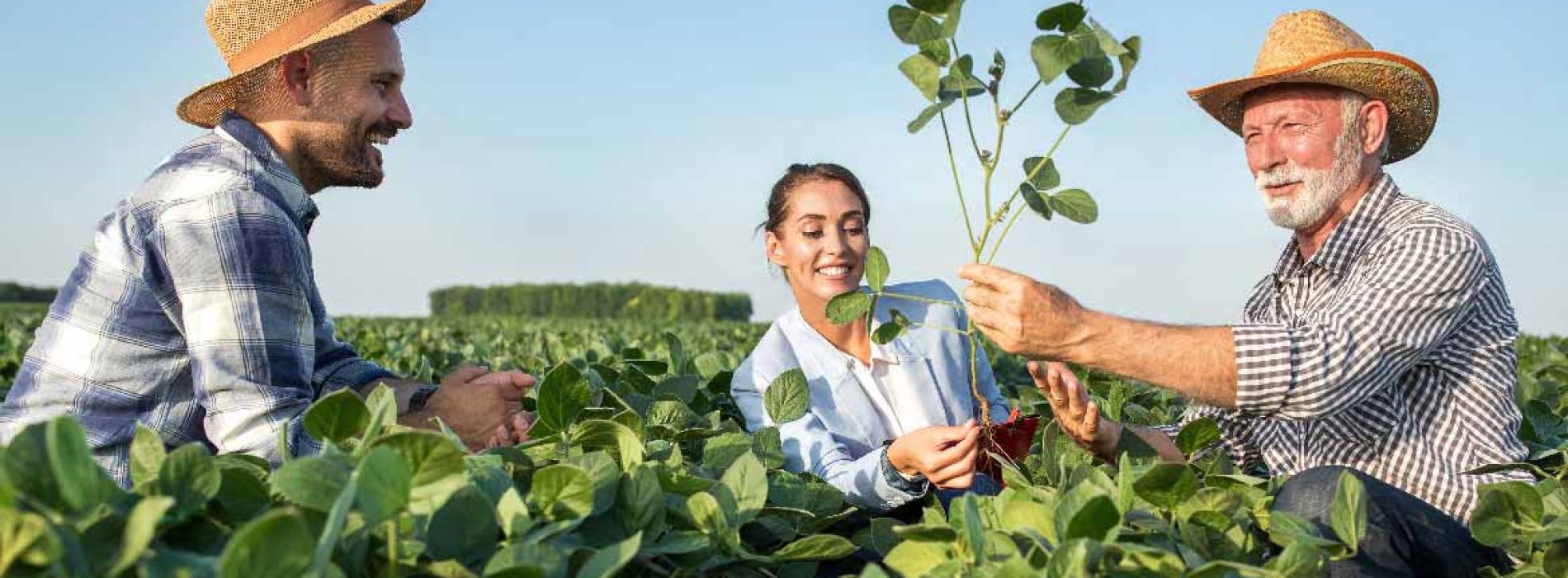 INPS: riduzione aliquote contributive per addetti alle attività agricole