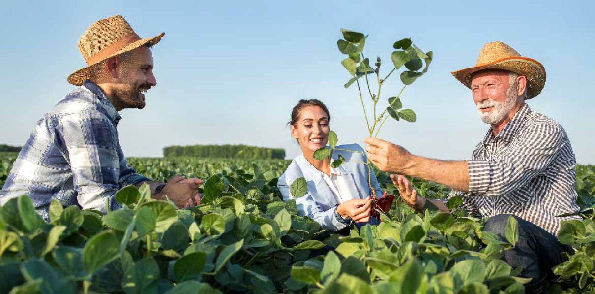 INPS: riduzione aliquote contributive per addetti alle attività agricole