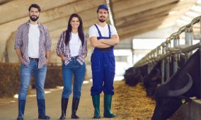 Agricoltura, bando da 55 milioni di euro per sostenere i giovani agricoltori