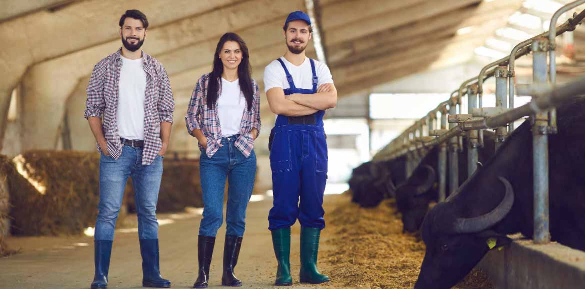 Agricoltura, bando da 55 milioni di euro per sostenere i giovani agricoltori