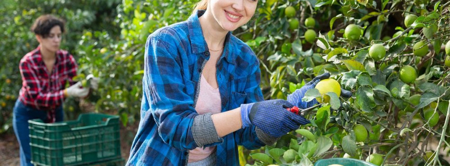 Cassazione: precisazioni su attività stagionale