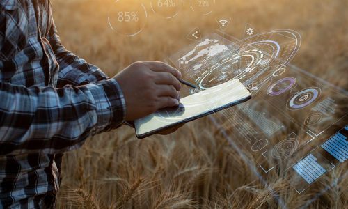 Aliquote contributive 2025 per i lavoratori agricoli: Tutte le novità
