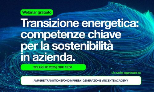 Webinar su transizione energetica e sostenibilità in azienda