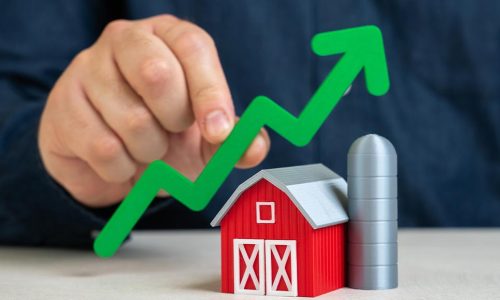 Bonus agricoltori 2025: credito formazione under 41