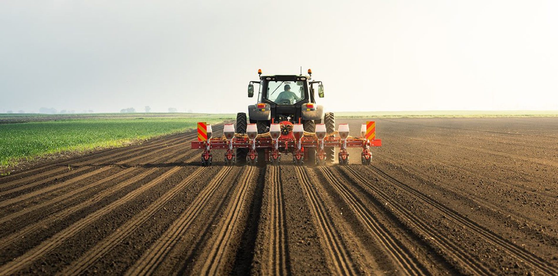 Nuove modalità MIMIT per i contributi alle imprese agricole