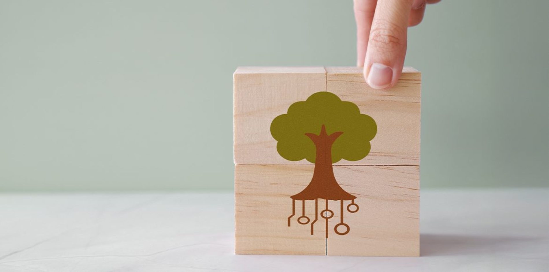 INPS: esonero contributivo Agricoltura 2020, l’esito dei controlli