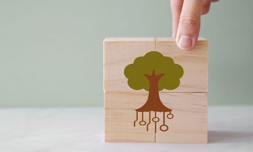 INPS: esonero contributivo Agricoltura 2020, l’esito dei controlli