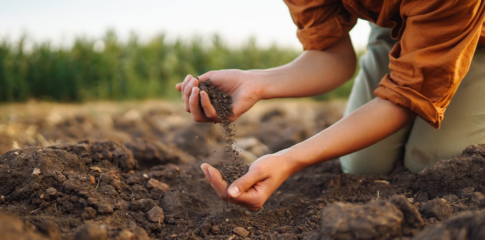 Quote per Lavoro Subordinato Stagionale in Agricoltura 2026