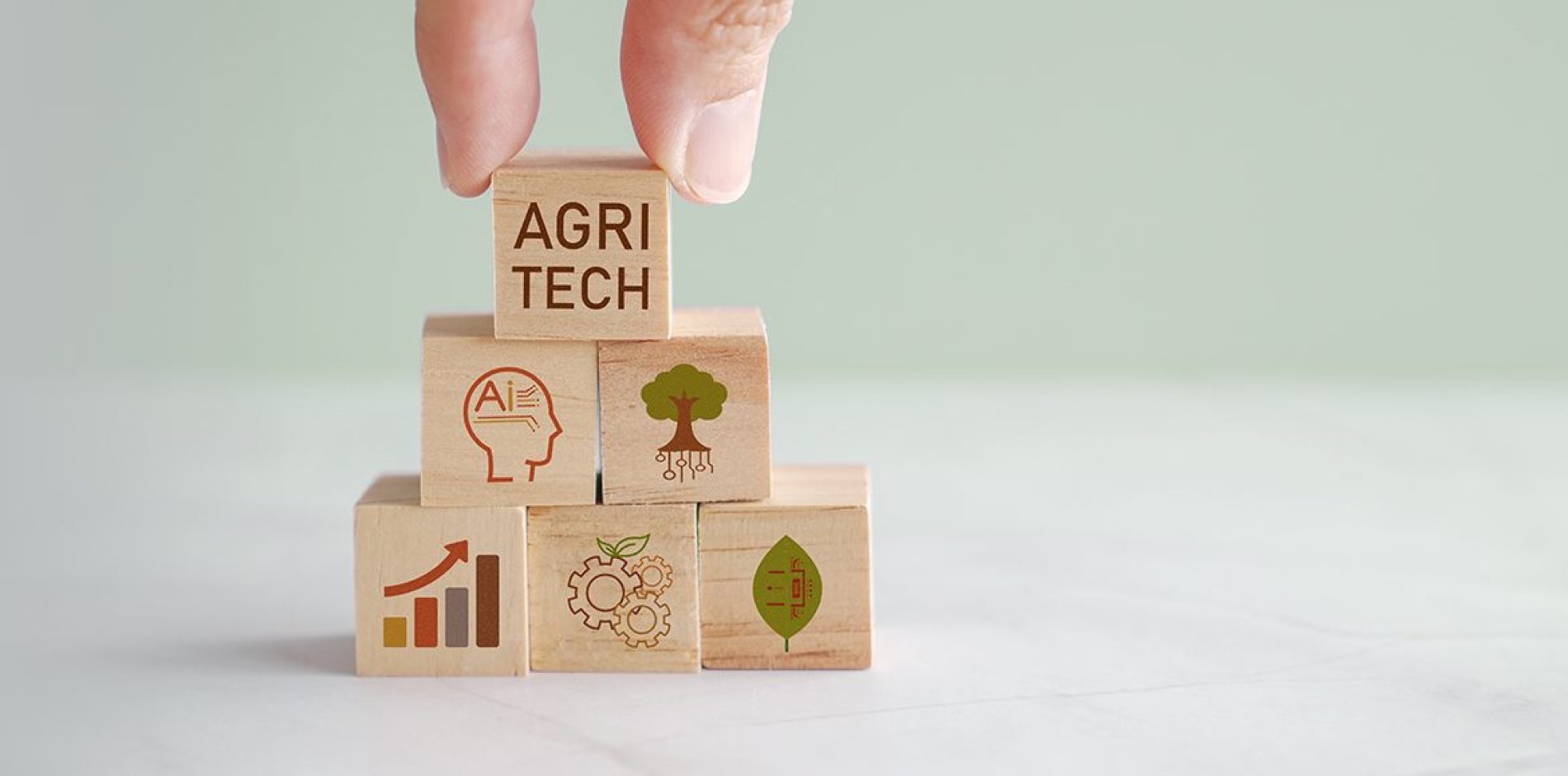 Il lavoro occasionale in agricoltura dopo la stabilizzazione normativa