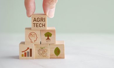 Il lavoro occasionale in agricoltura dopo la stabilizzazione normativa