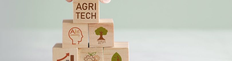 Il lavoro occasionale in agricoltura dopo la stabilizzazione normativa