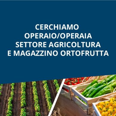 Grandi assunzioni settore agricolo: cerchiamo operai e addetti al magazzino