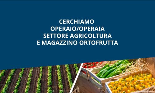 Grandi assunzioni settore agricolo: cerchiamo operai e addetti al magazzino