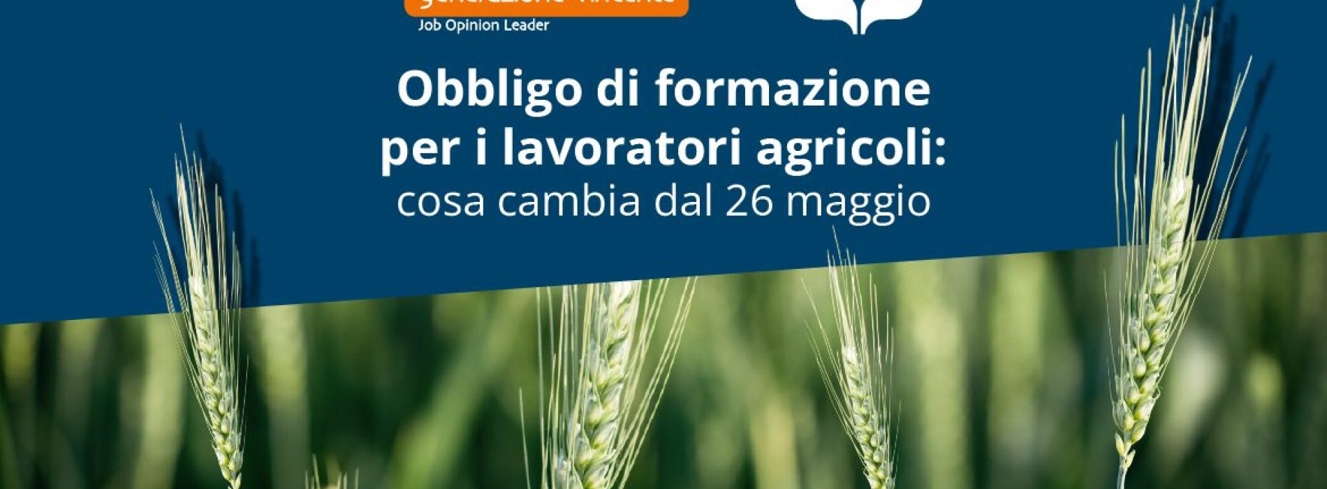 Formazione obbligatoria per i lavoratori agricoli: cosa cambia dal 26 maggio 2026