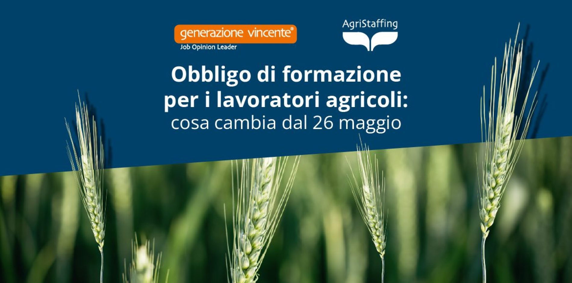 Formazione obbligatoria per i lavoratori agricoli: cosa cambia dal 26 maggio 2026