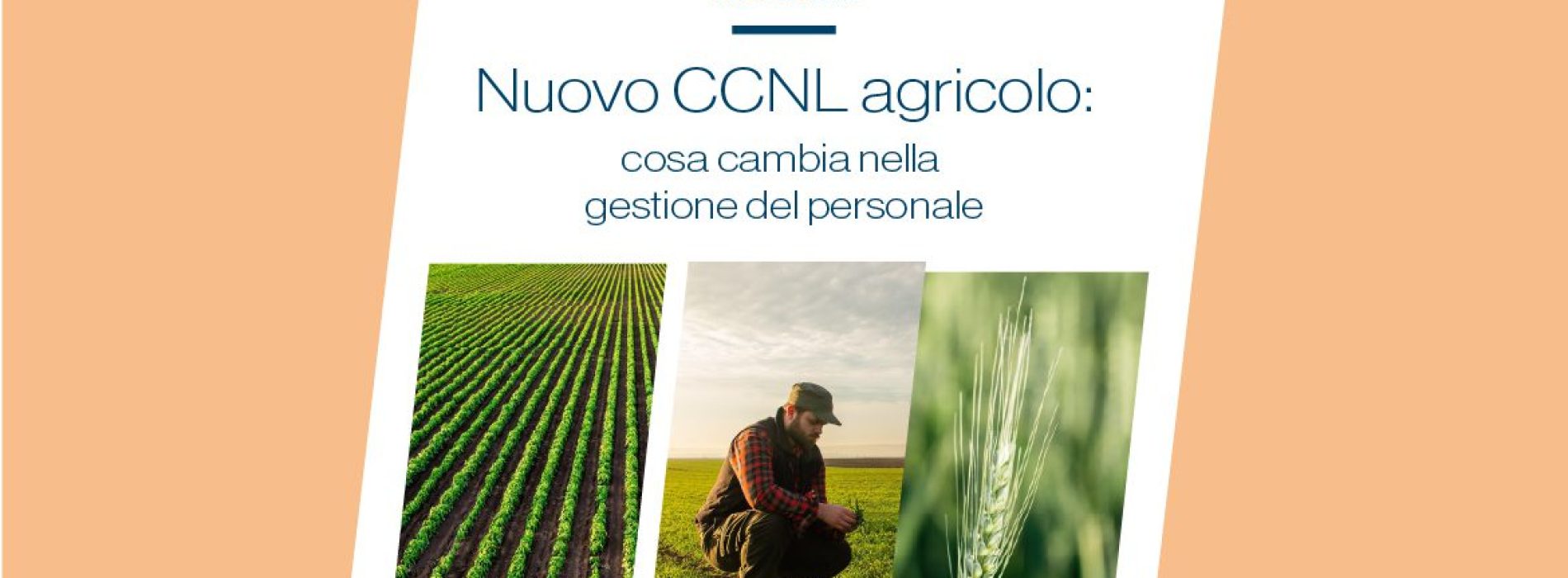Nuovo CCNL agricolo: webinar gratuito sulla gestione del personale
