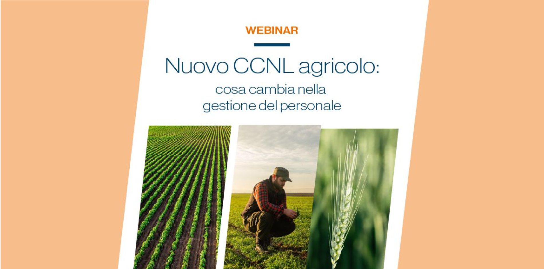 Nuovo CCNL agricolo: webinar gratuito sulla gestione del personale